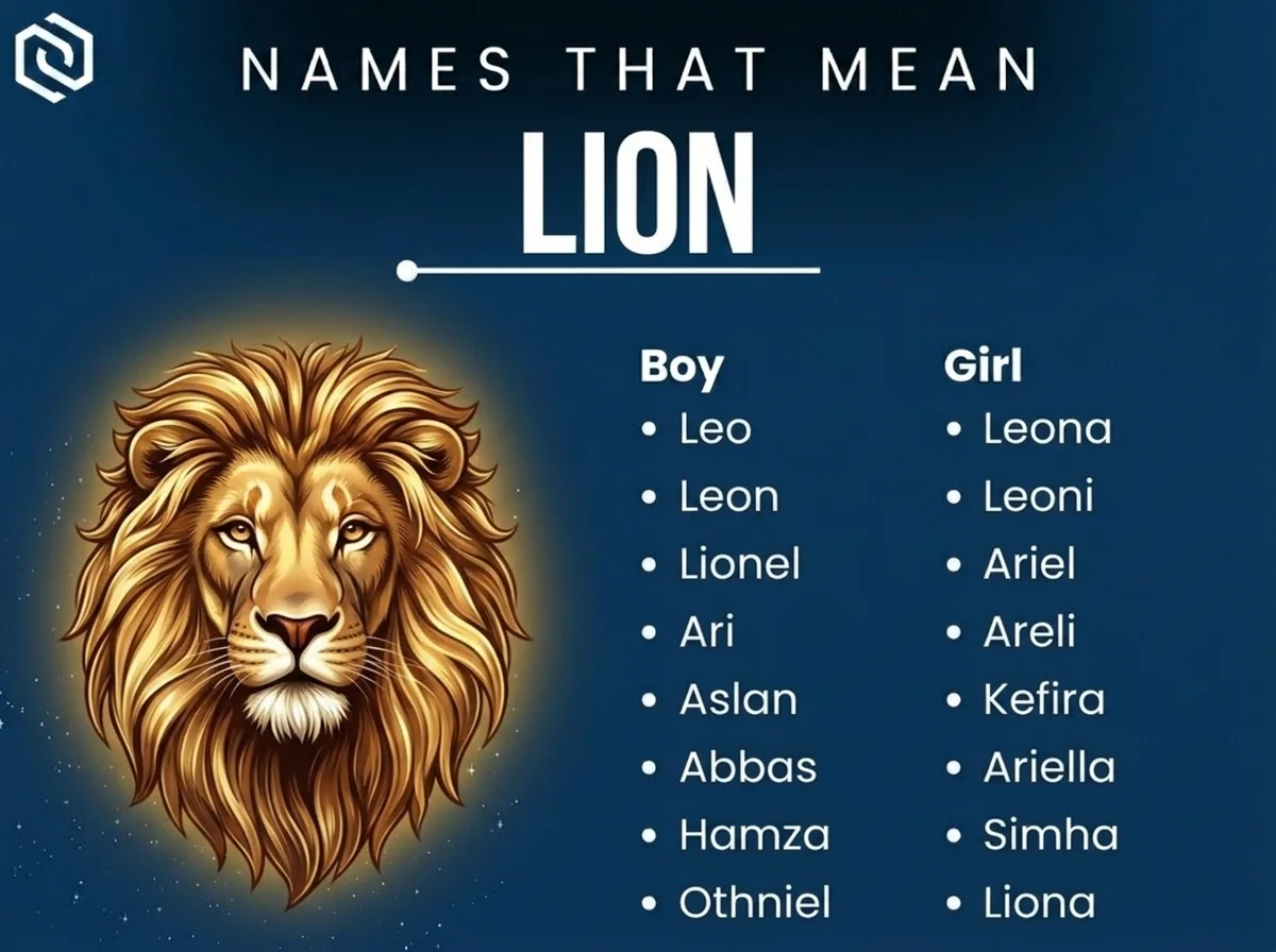 Infographic of boy and girl names that mean lion: Leo, Leona, Leon and Lionel