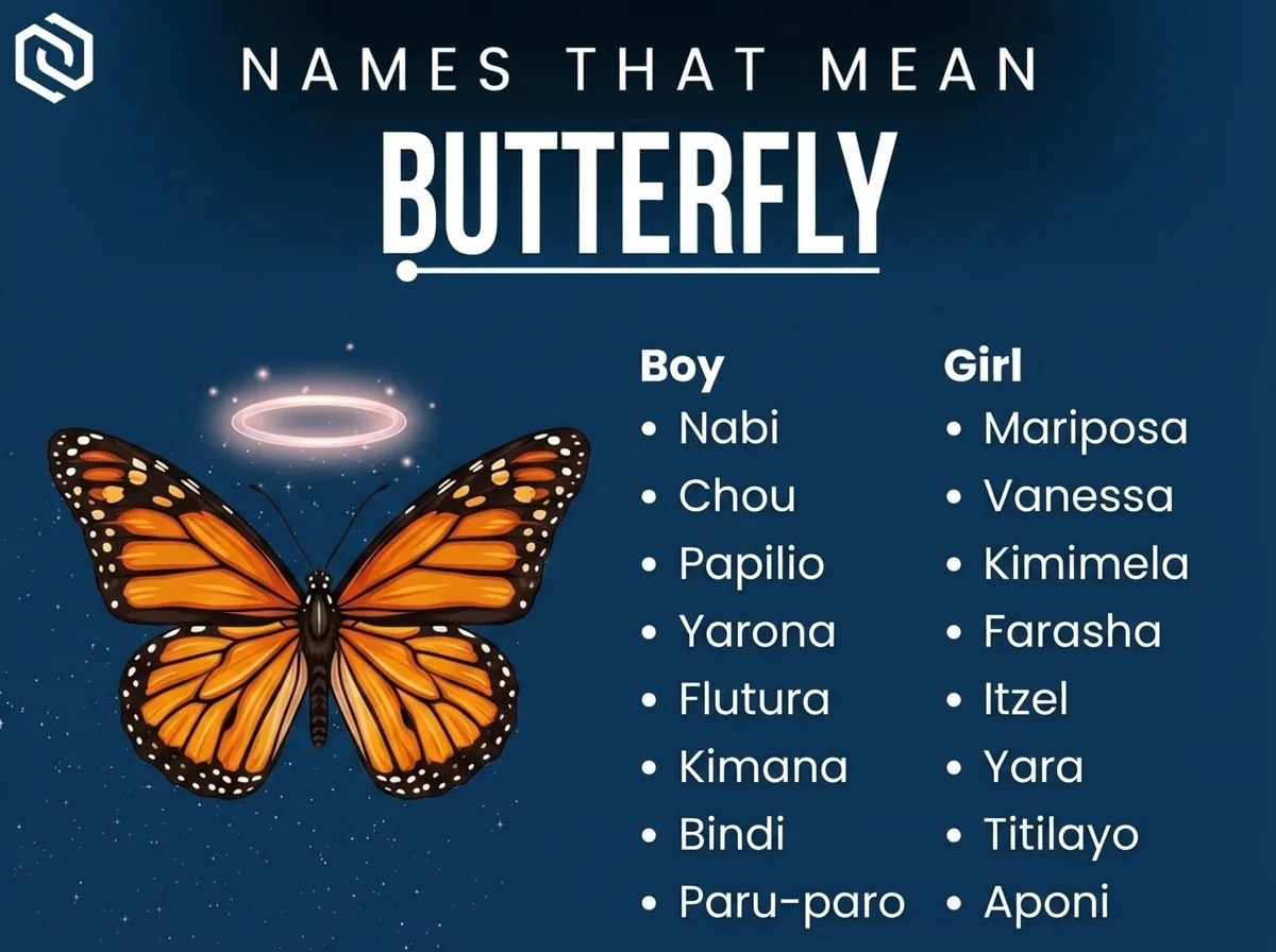 Infographic of boy and girl names that mean butterfly: Mariposa, Chou, Vanessa and Papilio