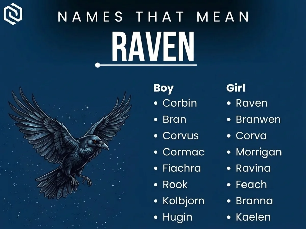 Infographic of boy and girl names that mean raven: Corbin, Bran, Branwen and Corvus