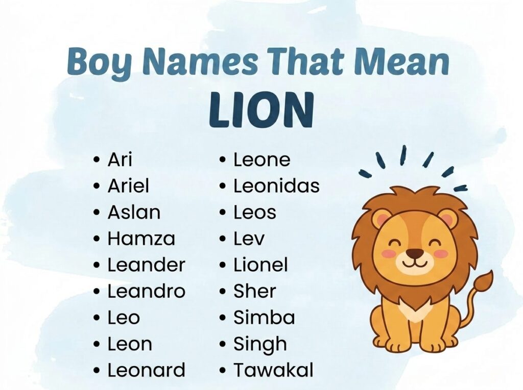 Boy Names That Mean Lion