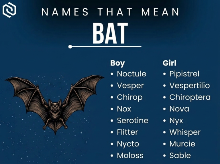 Names That Mean Bat