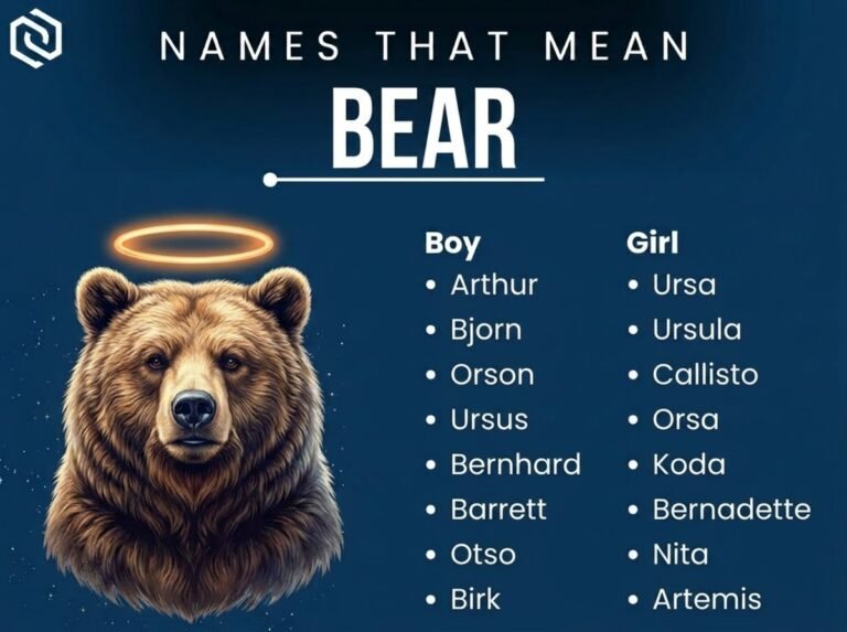 Names That Mean Bear