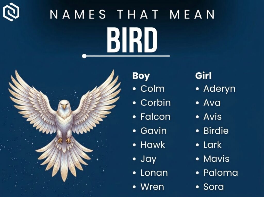 Names That Mean Bird