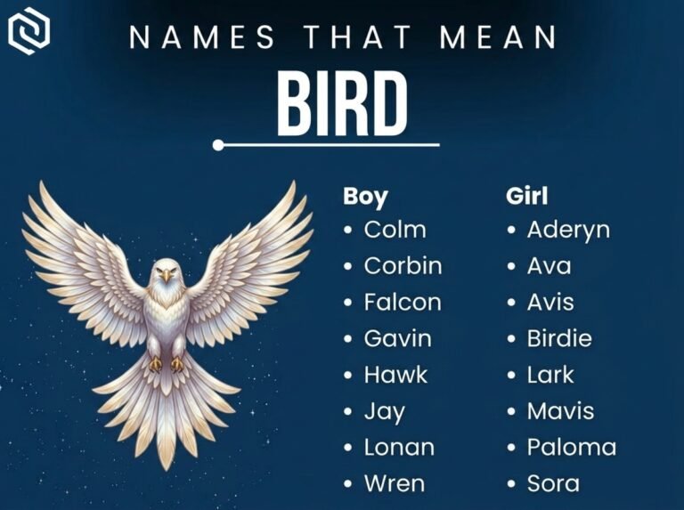 Names That Mean Bird