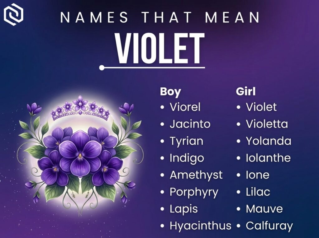 Names That Mean Violet​